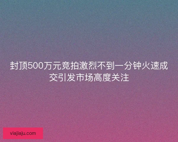 封顶500万元竞拍激烈不到一分钟火速成交引发市场高度关注